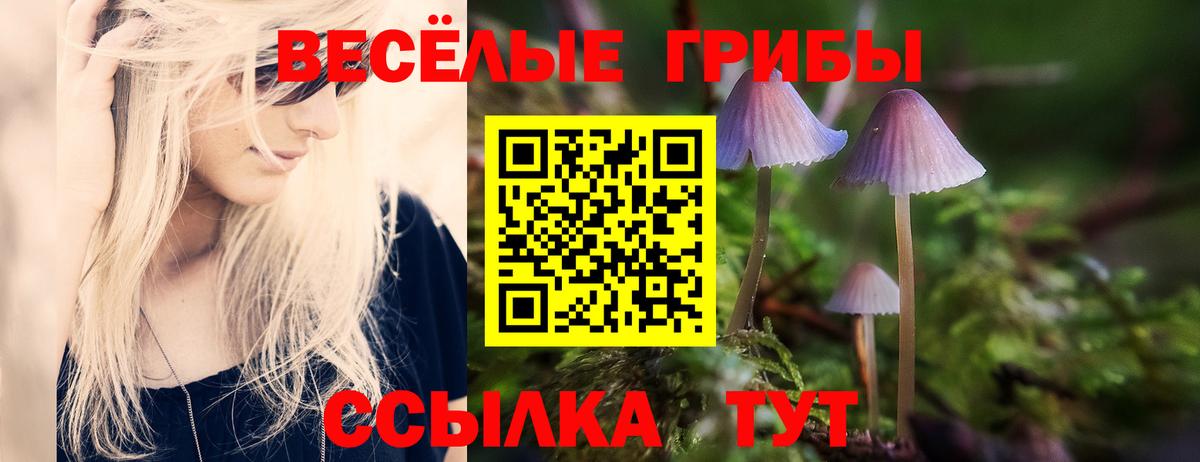 Галлюциногенные грибы Magic Shrooms Туймазы